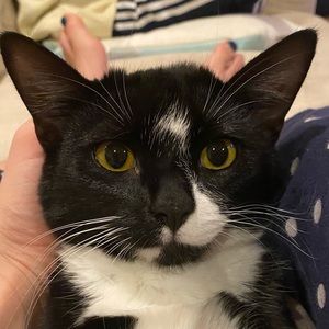 Meet your Posher, Lucy